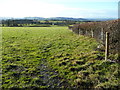 Pasture land near Lower Aldress