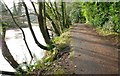 The Lagan towpath near Edenderry