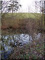 Pond beside the road