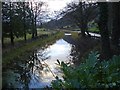 Montgomery canal from Glan Hafren bridge