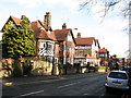 Houses on Springfield Avenue