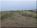 Sand dunes, Ffrith Beach