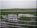 Keep Out - new breed of woolly cattle found on Shropshire farm.