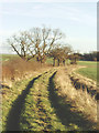 TL1564 : Huntingdonshire countryside north of Hail Weston by David Kemp