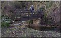 NZ0017 : Wooden Footbridge by Matthew Hatton