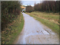 The Trans Pennine Trail near Crowden