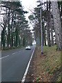 Nant Hall Road, Prestatyn