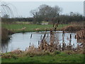 Ponds near Lower Oakley Farm