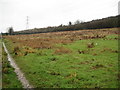 Dunstable: Cottage Bottom Fields Local Nature Reserve (1)