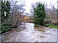 SO8271 : River Stour, Mill Road, looking south by P L Chadwick