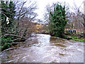 River Stour, Mill Road, looking south