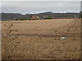 New House across arable land