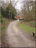 SK5647 : Bestwood Country Park - Main Drive above Alexandra Lodges by Alan Murray-Rust