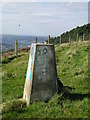 OS Trig Point above Skewen