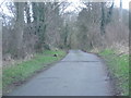 Private road to Boreatton Hall