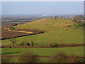 Pastures, Quainton