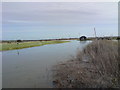 River Yeo at Long Load, in the floods