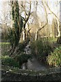 SZ0692 : Coy Pond Gardens: upstream from bridge by Chris Downer