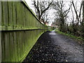 Love Lane Bridleway Green Fence