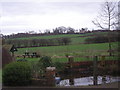 Across the fields to Dinthill Hall