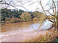 View across the River Severn with high water