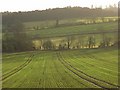 Farmland, Badby