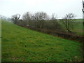 Stream valley between Warkleigh and Broadmoor