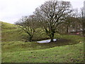 Old Mill, Chapeltown