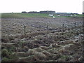 Ruin near Benbecula airport