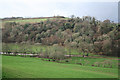 Yealmpton: towards Treby Wood