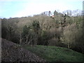 Whitton Grange from Causebeach lane