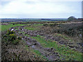 Thorne Moor