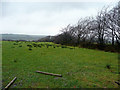 View north of Little Collingsdown