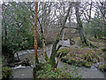 Stream in flood at Vennmills