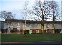 SU6152 : Housing on Winklebury Way by Mr Ignavy
