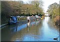 Ashby Canal, Hinckley