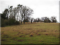 Orwell Park House, half-hidden