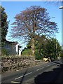 St Marychurch Road, Torquay