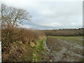 View east to Abbotsham