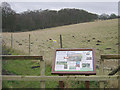 Bestwood Country Park - Parkside Pasture