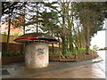 Unusual mushroom, Stranmillis Road