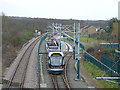 Tram at Butlers Hill stop