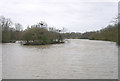 Bestwood Country Park- Mill Lakes