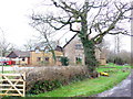 Wood Dairy Farm Haselbury Plucknett