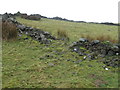 Sheepfold on Braid Knowe