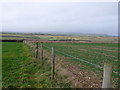 Farmland near Dewlish