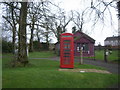 Telephone Box & purple village hall