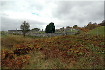 NC4301 : Tuiteam Cemetery by Peter Gamble