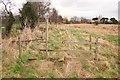 Footpath to Brampton