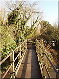 TQ0586 : Footbridge over the River Colne by David Hawgood